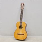 1723 4176 Gitarr